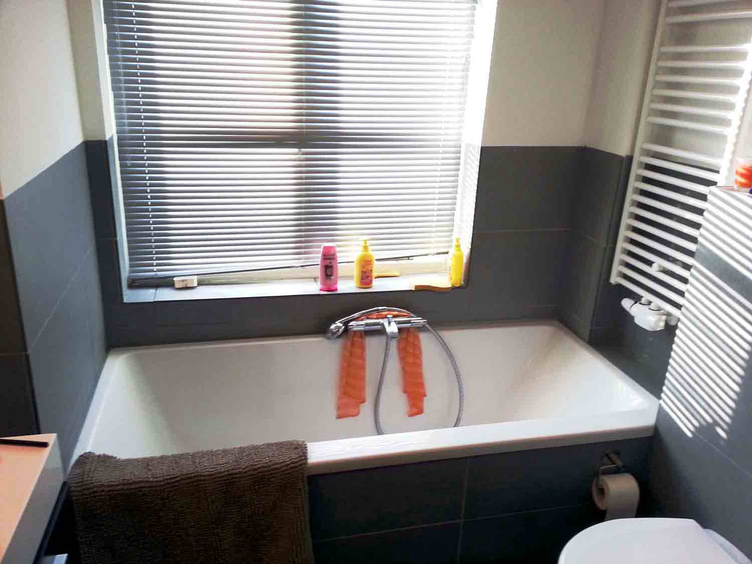 Bathroom renovation Amstelveen area 6